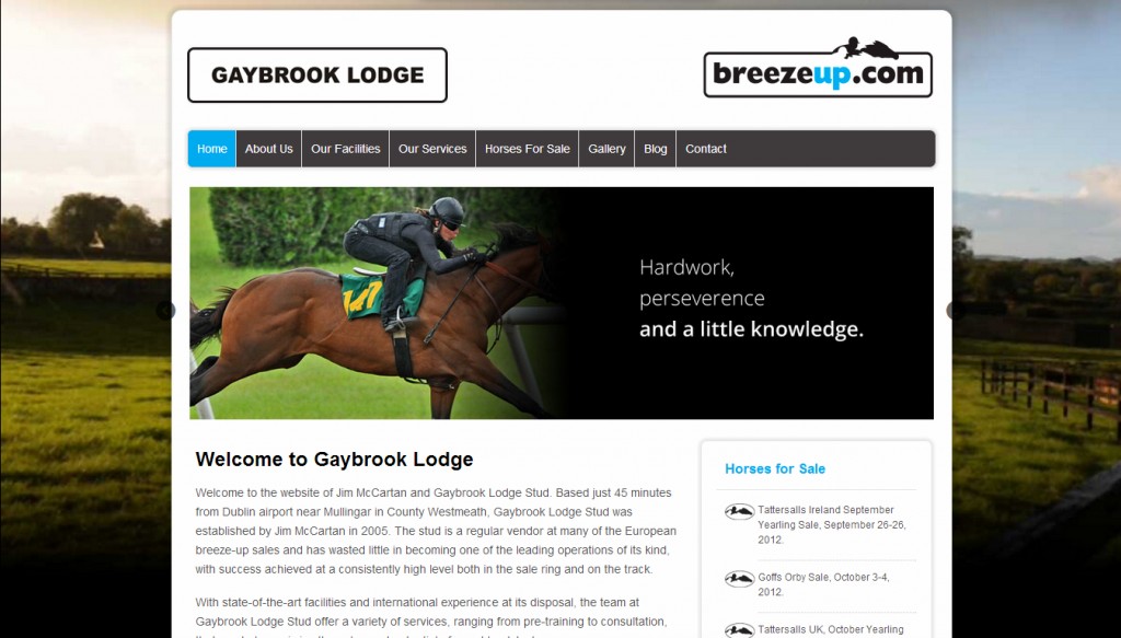 Gaybrook Lodge - Breezeup.com website